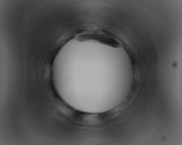 X0000100840132200807180929