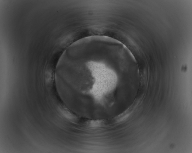 X0000100840134200807180929