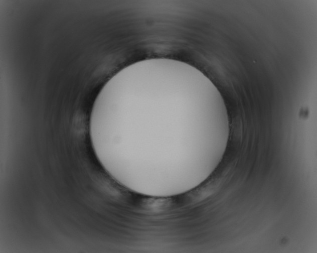 X0000100840135200807180929