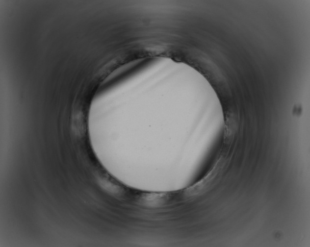 X0000100840136200807180929