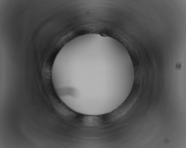 X0000100840137200807180929