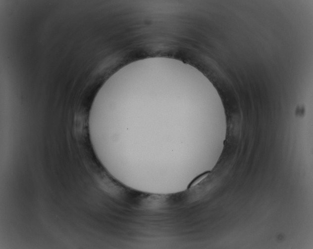 X0000100840138200807180929