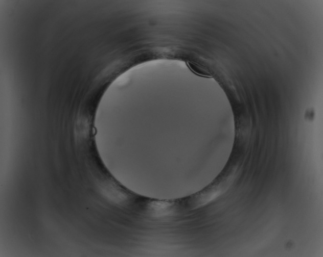 X0000100840139200807180929