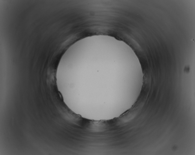 X0000100840141200807180929