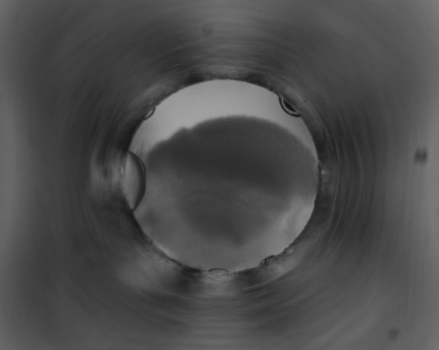 X0000100840143200807180929