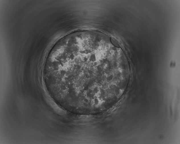 X0000100840145200807180929