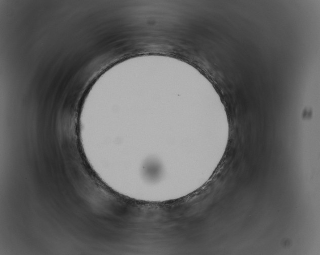 X0000100840146200807180929