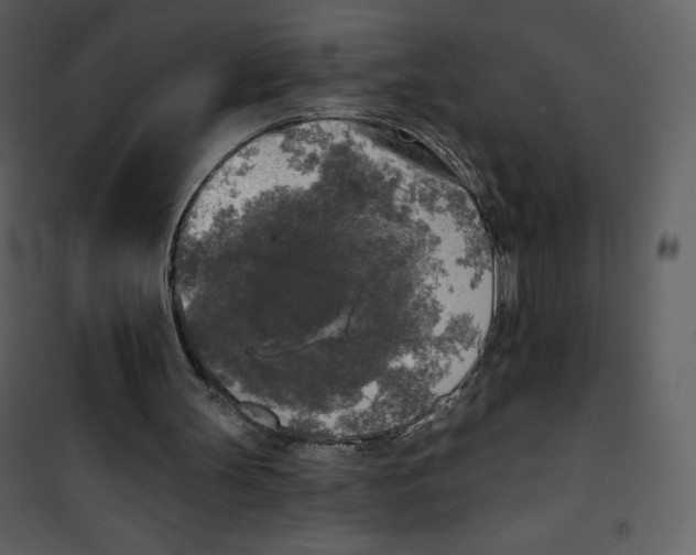 X0000100840147200807180929