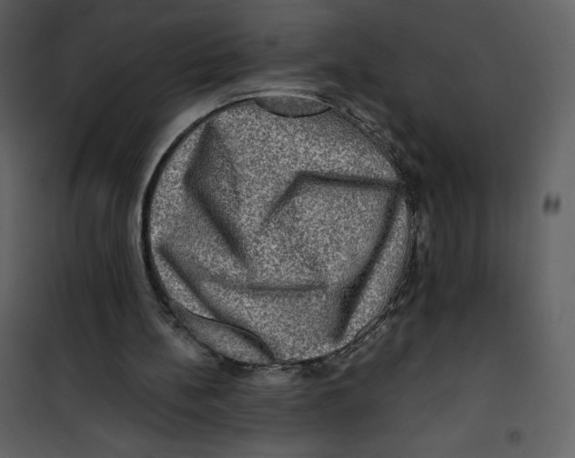 X0000100840148200807180929