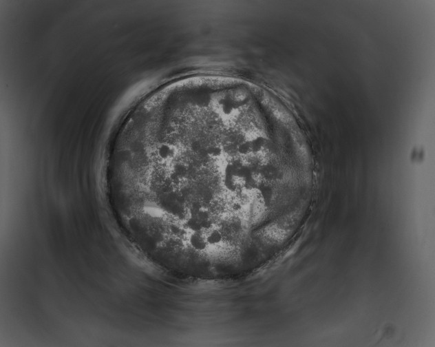 X0000100840149200807180929