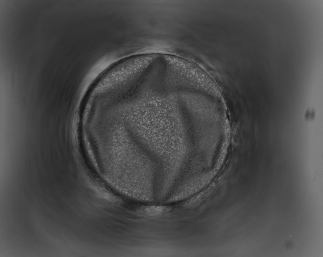 X0000100840152200807180929