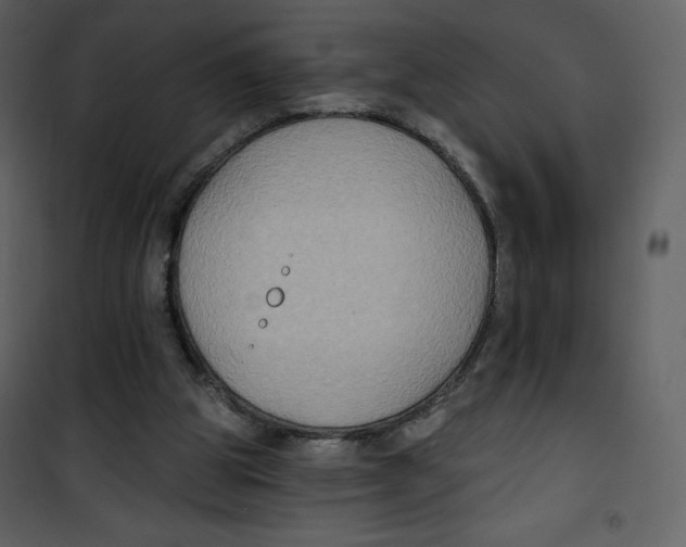 X0000100840153200807180929