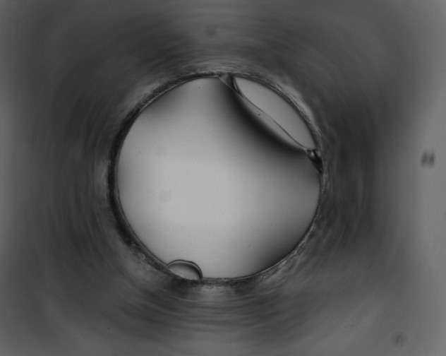 X0000100840154200807180929