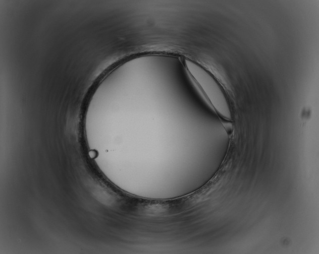 X0000100840156200807180929