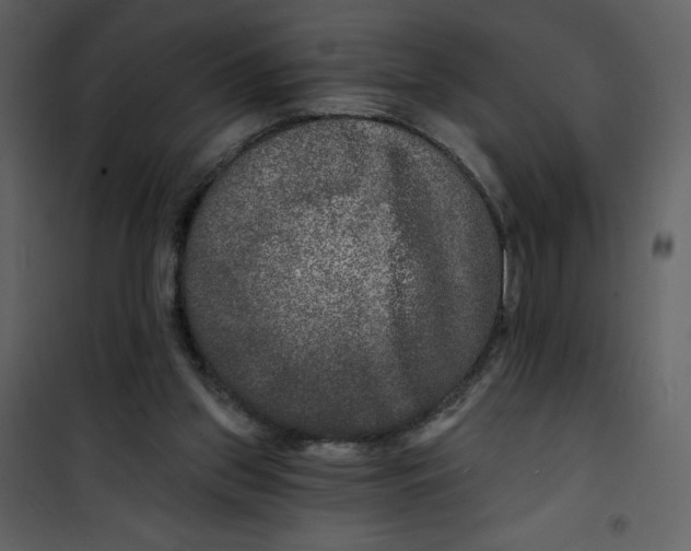 X0000100840157200807180929