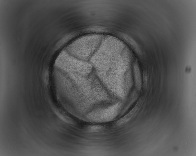 X0000100840158200807180929