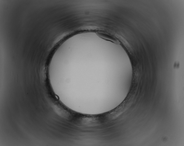 X0000100840160200807180929