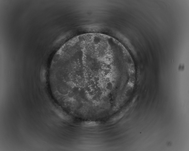 X0000100840161200807180929