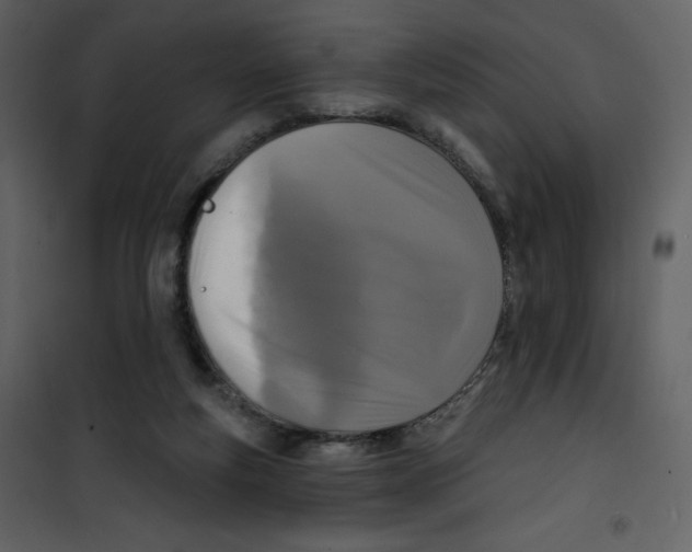 X0000100840163200807180929