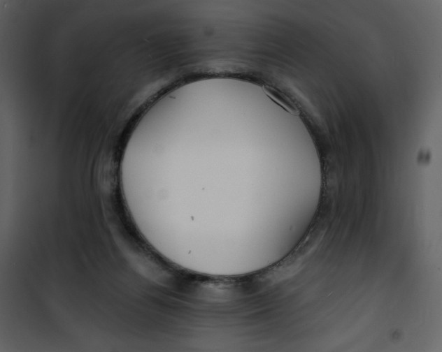 X0000100840164200807180929