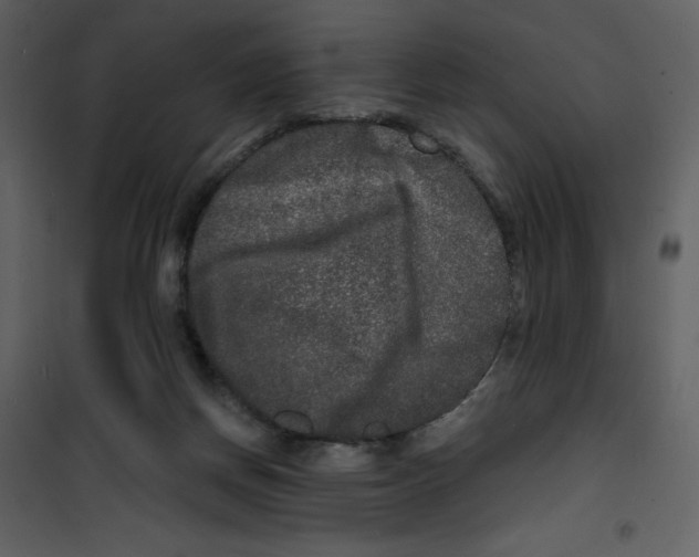 X0000100840166200807180929