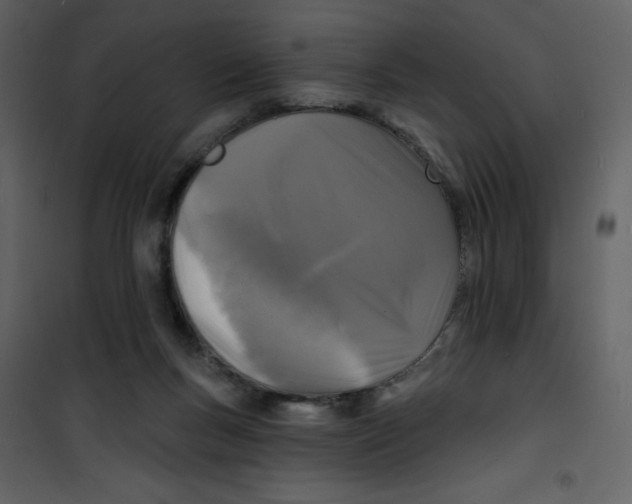 X0000100840167200807180929