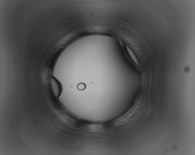 X0000100840168200807180929