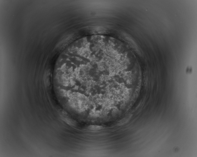 X0000100840169200807180929