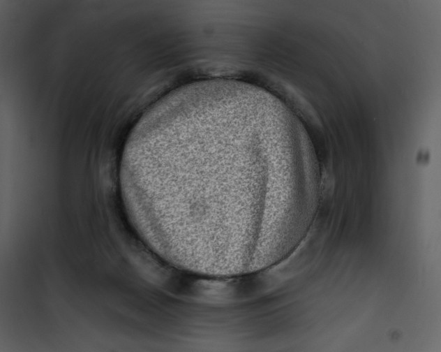 X0000100840170200807180929