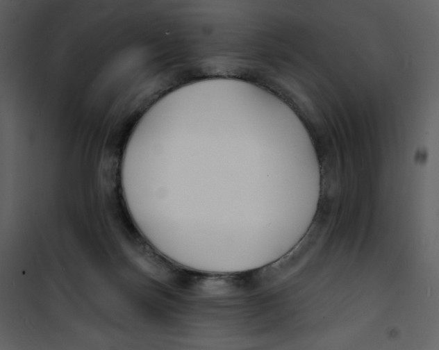 X0000100840171200807180929