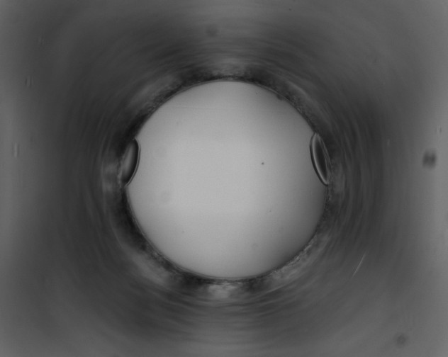 X0000100840172200807180929