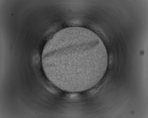 X0000100840173200807180929