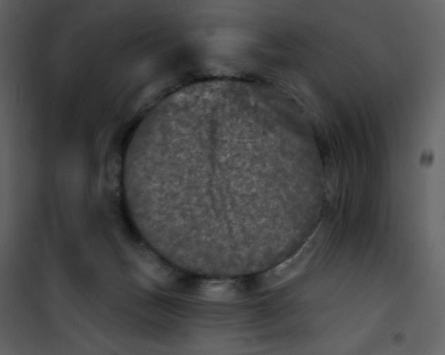 X0000100840175200807180929