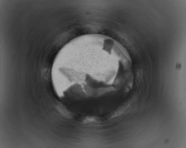 X0000100840177200807180929