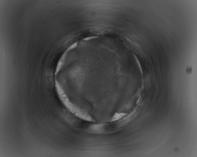 X0000100840178200807180929