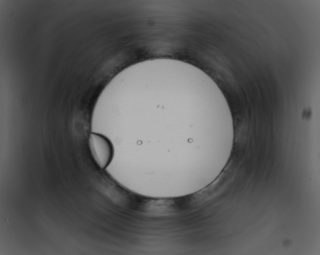 X0000100840179200807180929