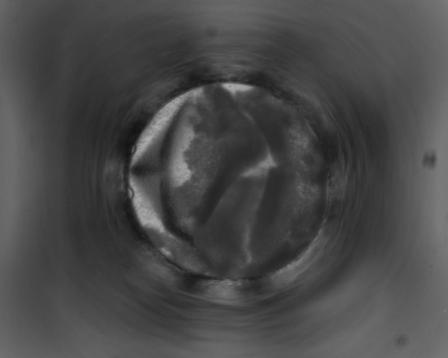 X0000100840182200807180929