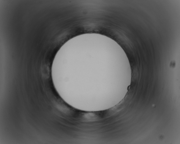 X0000100840183200807180929