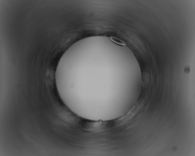 X0000100840184200807180929