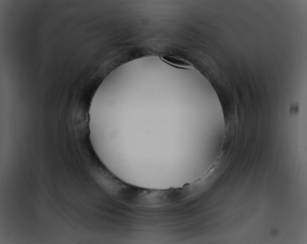 X0000100840186200807180929