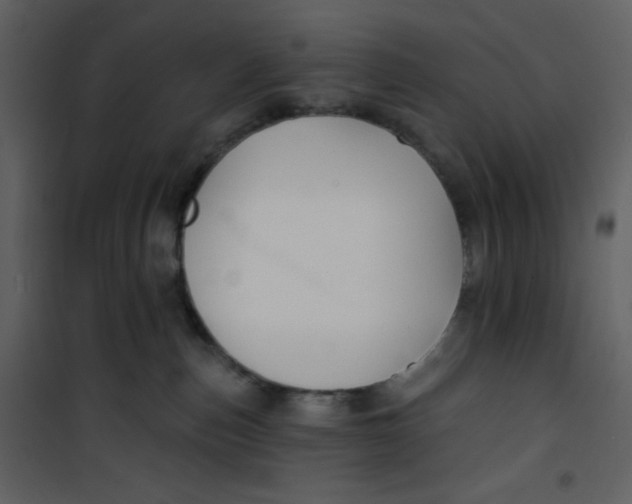 X0000100840187200807180929