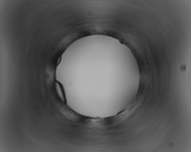 X0000100840188200807180929