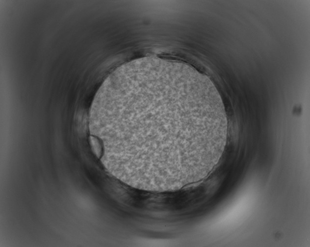 X0000100840191200807180929