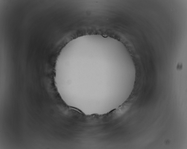 X0000100840192200807180929