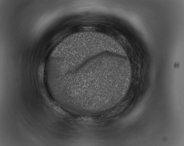 X0000100840194200807180928