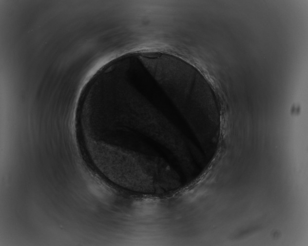 X0000100840196200807180928