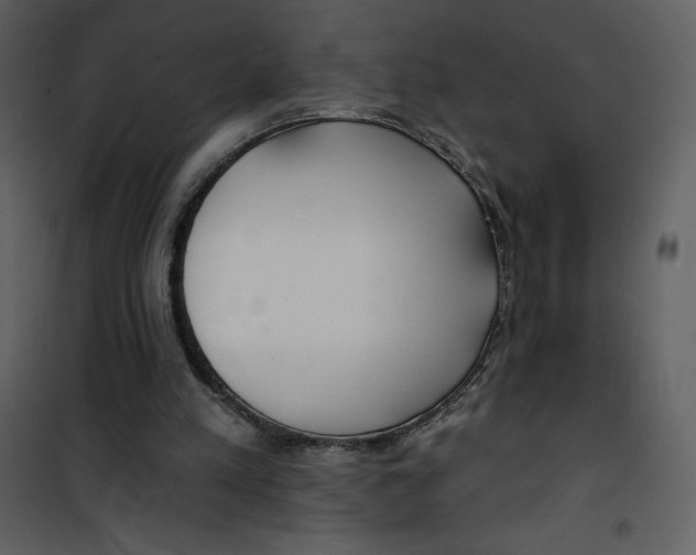 X0000100840197200807180928