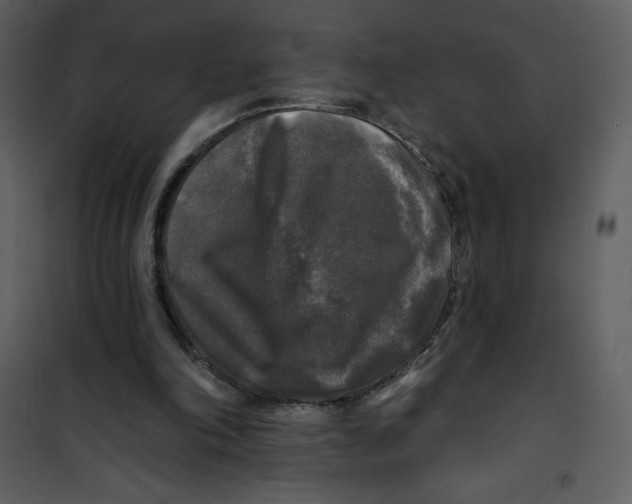 X0000100840198200807180928