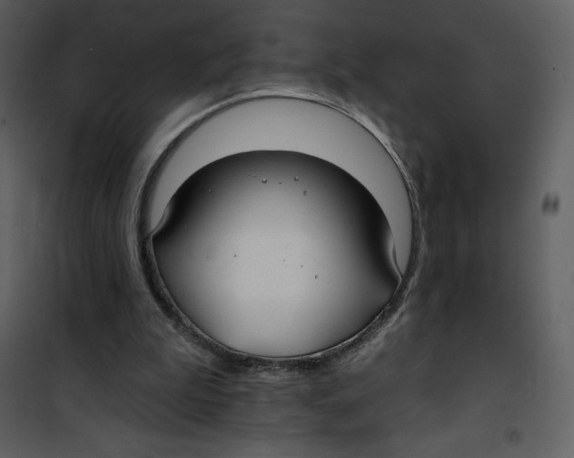 X0000100840199200807180928