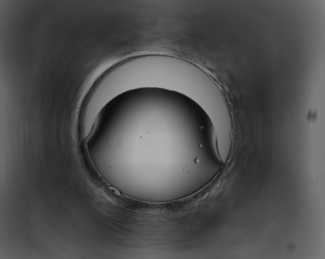 X0000100840200200807180928